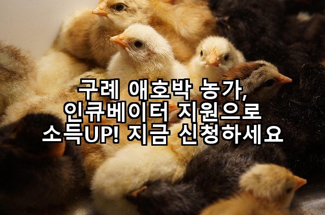 구례 애호박 농가, 인큐베이터 지원으로 소득UP! 지금 신청하세요